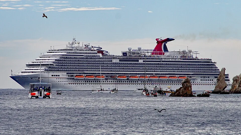 The massive Carnival Panorama cruise ship sails on open blue water past rocky formations. Several small tour boats and catamarans float in the foreground, while a couple of seabirds fly through a partly cloudy sky overhead.