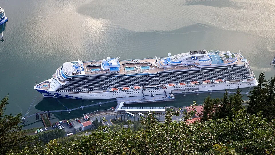 An aerial view shows a massive Princess Cruises ship docked at a port terminal surrounded by calm water. The multi-deck vessel features blue sea witch artwork on the bow, open sun decks with swimming pools, and a gangway connecting it to a parking area below filled with green trees.