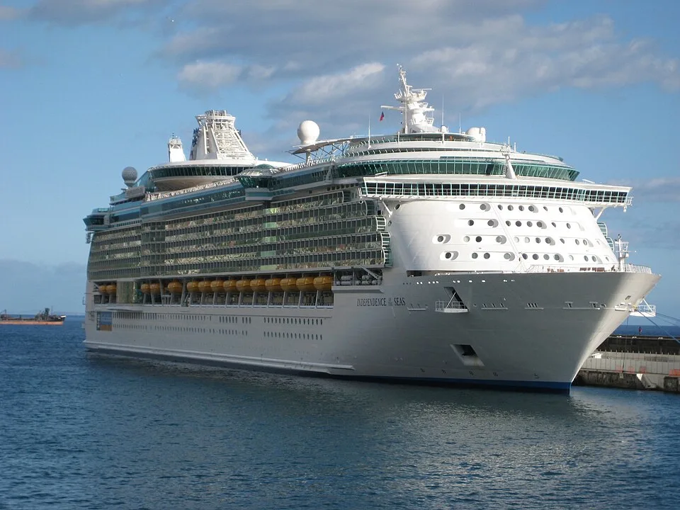 The massive white cruise ship Independence of the Seas is docked in calm blue water under a partly cloudy sky. Yellow lifeboats line the side of its multi-story hull.