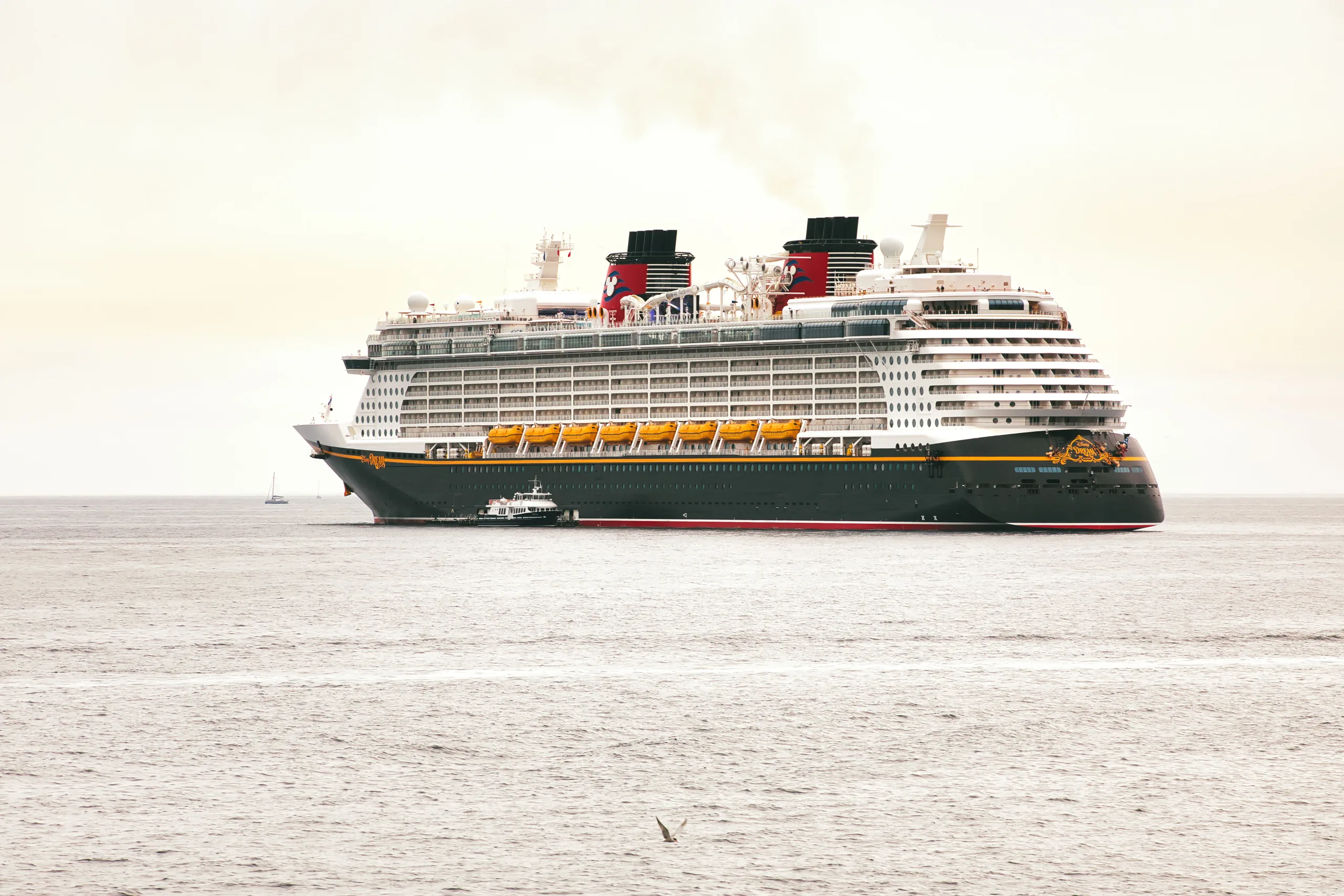 A large luxury cruise ship sails on a calm sea under a clear sky, showcasing its grandeur and elegance.