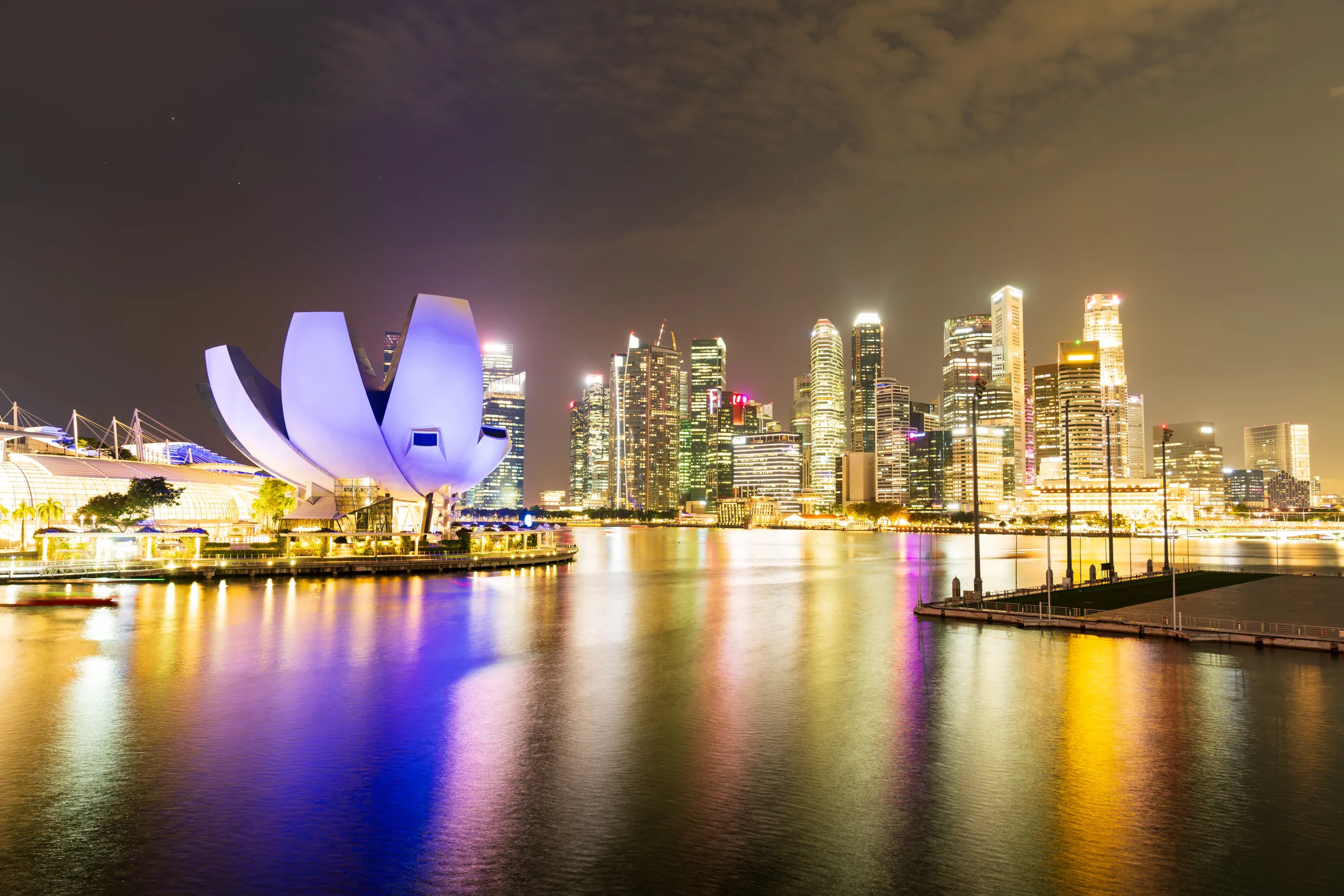 Night view of Singapore, skyscrapers in the background with lit-up petal in front.