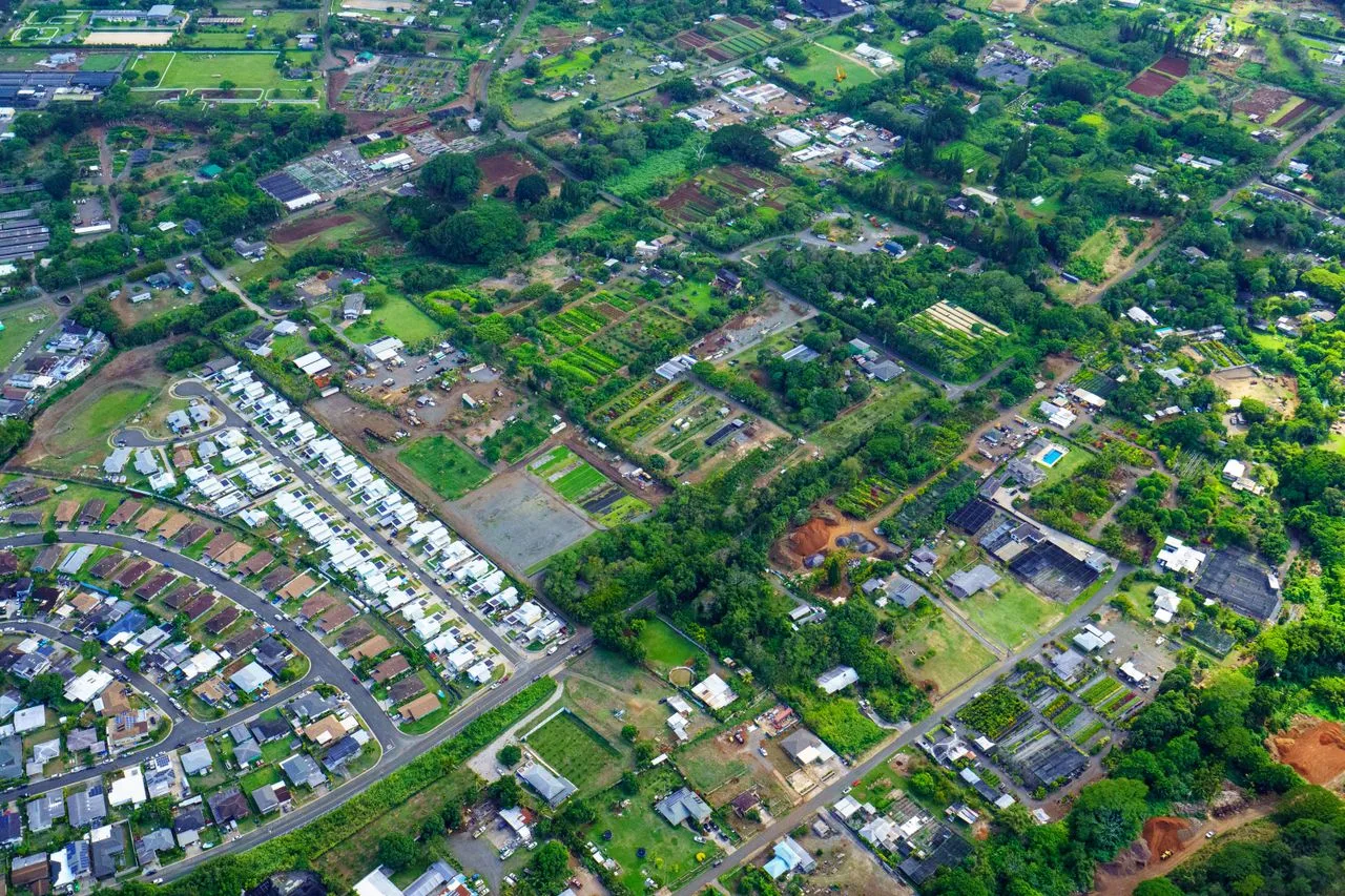 Stunning aerial shot showcasing the vibrant greenery and suburban layout of a peaceful neighborhood.